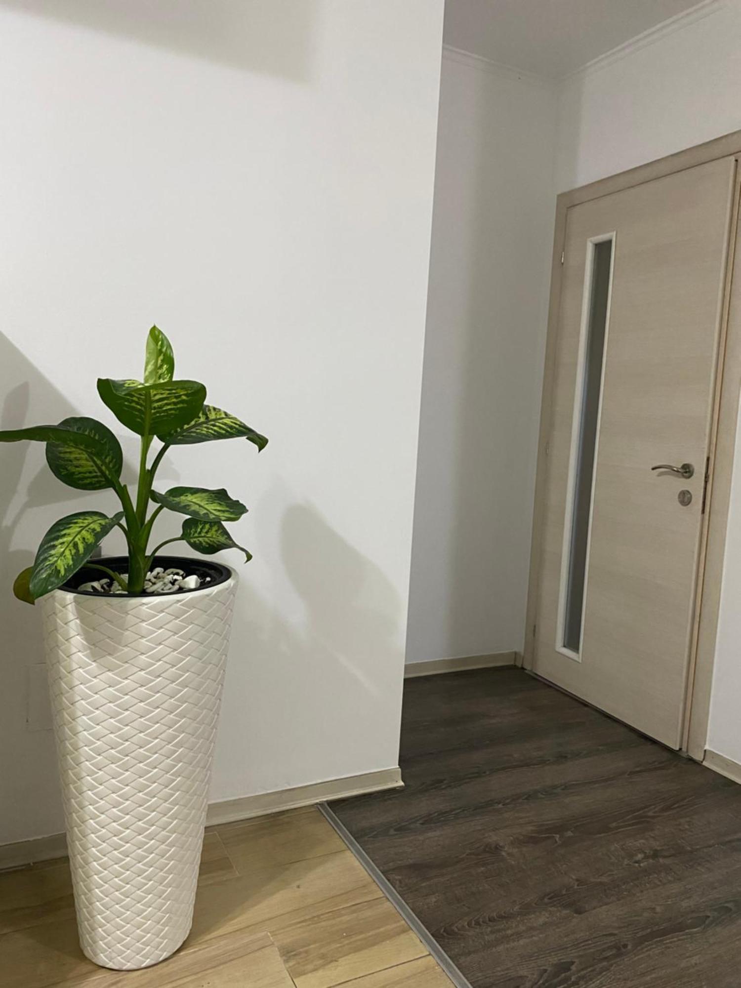 Main Apartment Tirana Exterior foto